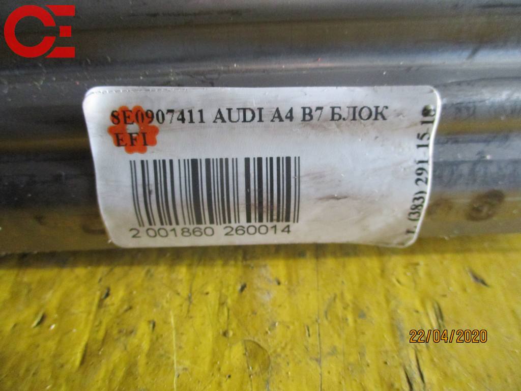 8E0907411 AUDI A4 B7 БЛОК EFI Audi A4