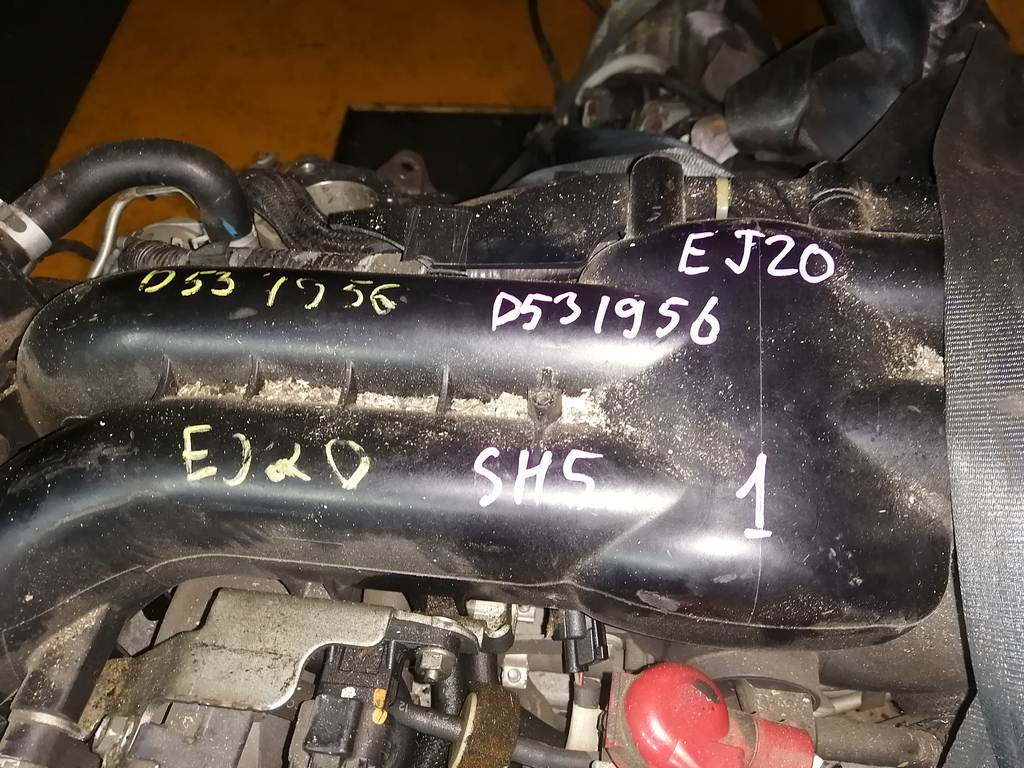 EJ205 D531956 ДВИГАТЕЛЬ БЕЗ НАВЕСНОГО Subaru Forester